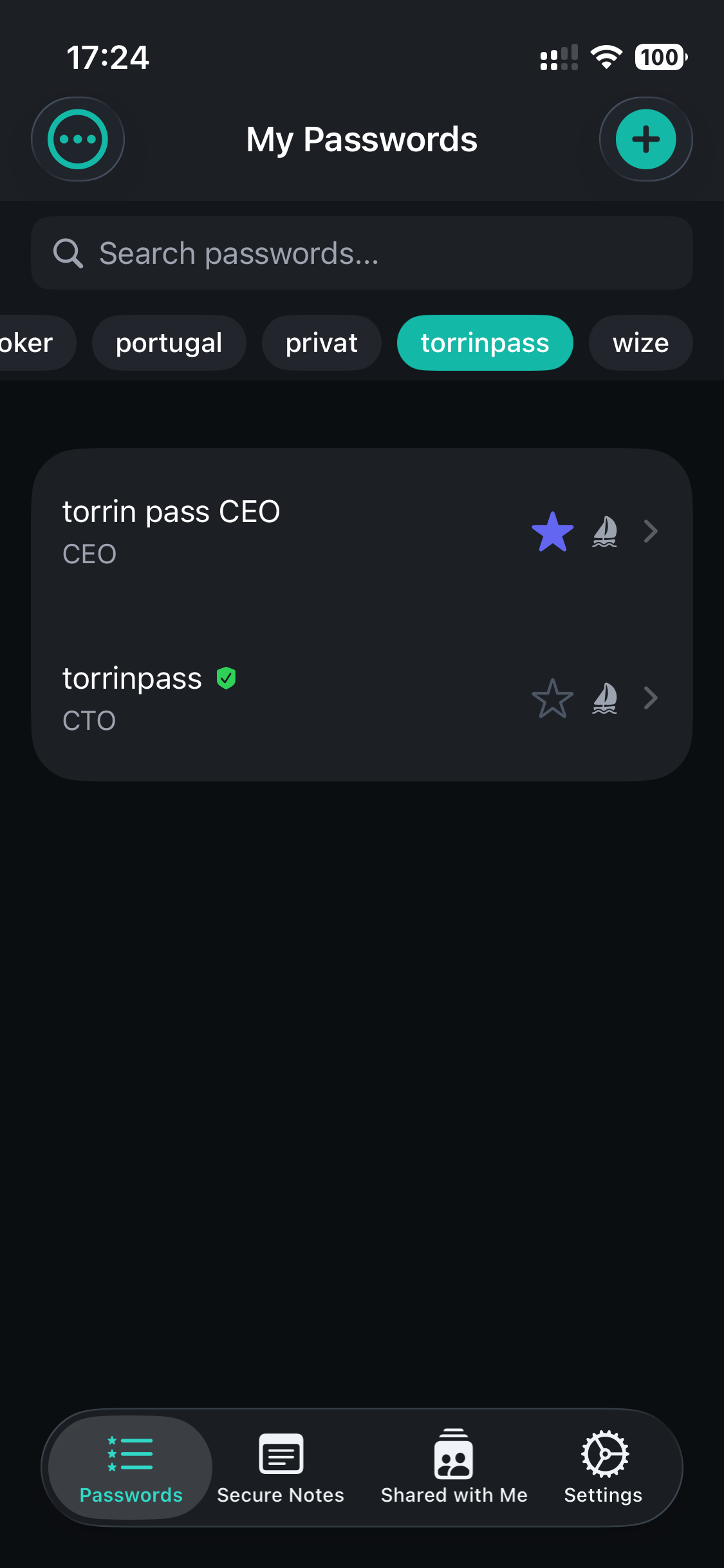 TorrinPass password vault showing secure password storage on iPhone